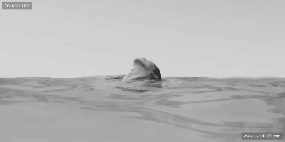 🎭 扮演不同角色，体验别样人生！